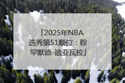 2025年NBA选秀第51顺位：穆罕默德-迪亚瓦拉