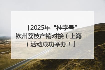 2025年“桂字号”钦州荔枝产销对接（上海）活动成功举办！