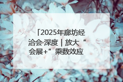 2025年廊坊经洽会·深度｜放大“会展+”乘数效应 打造消费新场景