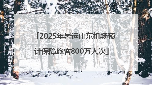 2025年暑运山东机场预计保障旅客800万人次