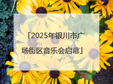 2025年银川市广场街区音乐会启幕