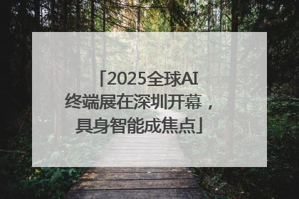 2025全球AI终端展在深圳开幕，具身智能成焦点