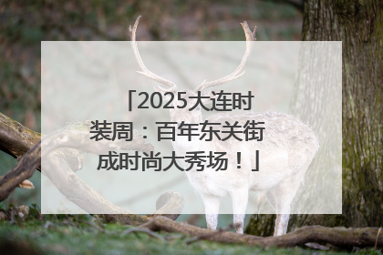 2025大连时装周：百年东关街成时尚大秀场！