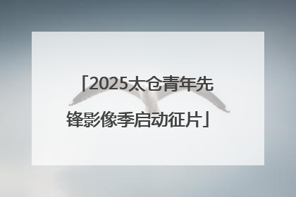 2025太仓青年先锋影像季启动征片