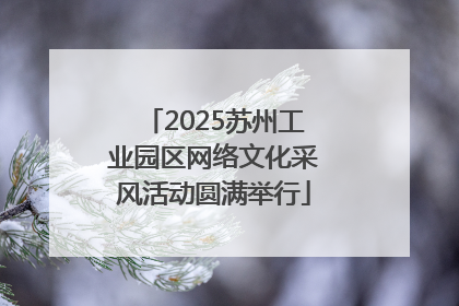 2025苏州工业园区网络文化采风活动圆满举行