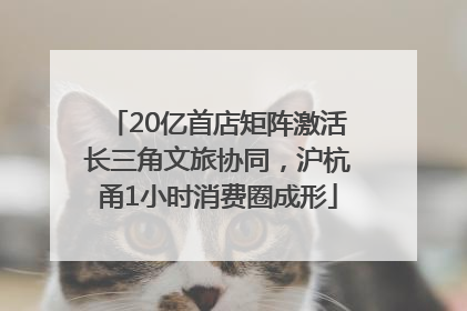 20亿首店矩阵激活长三角文旅协同，沪杭甬1小时消费圈成形