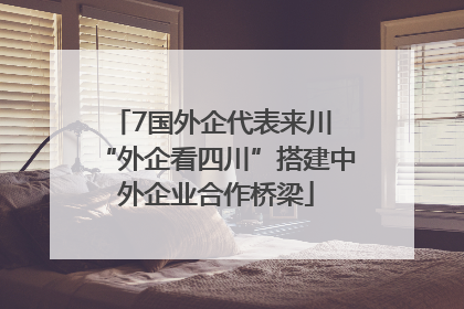 7国外企代表来川 “外企看四川”搭建中外企业合作桥梁