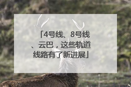 4号线、8号线、云巴，这些轨道线路有了新进展