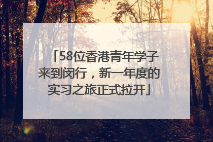 58位香港青年学子来到闵行，新一年度的实习之旅正式拉开