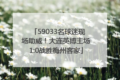 59033名球迷现场助威！大连英博主场1:0战胜梅州客家
