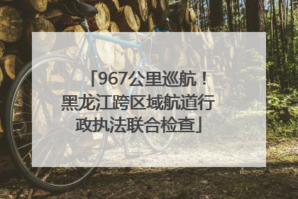 967公里巡航！黑龙江跨区域航道行政执法联合检查