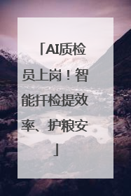 AI质检员上岗！智能扦检提效率、护粮安