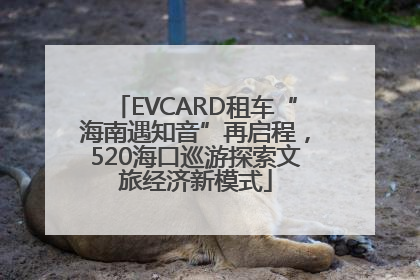 EVCARD租车“海南遇知音”再启程，520海口巡游探索文旅经济新模式