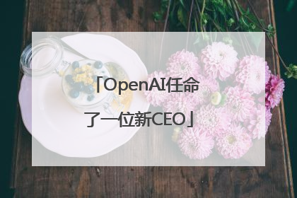 OpenAI任命了一位新CEO