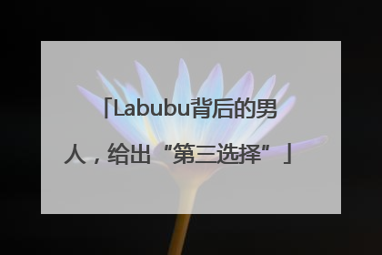 Labubu背后的男人，给出“第三选择”